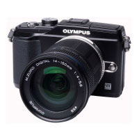 Olympus E1102880